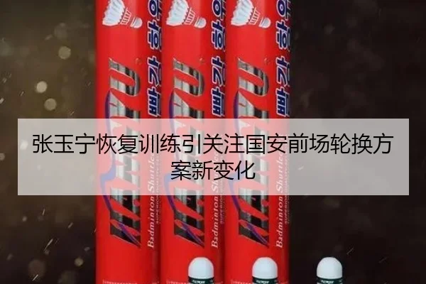 张玉宁恢复训练引关注国安前场轮换方案新变化