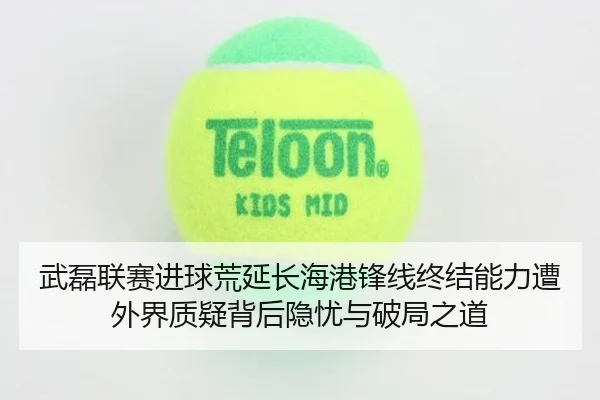 武磊联赛进球荒延长海港锋线终结能力遭外界质疑背后隐忧与破局之道